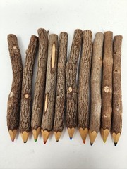 Set Of 10 Rustic Twig Branch Natural Wood Colored Pencil Set Decorative Pencils