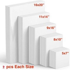 20 Pack Mixed Size Blank ARTIST CANVASES Stretched COTTON CANVAS Double Gesso