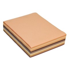 Colorations Colors Like Me Craft Paper, Skin Tones, 400 Sheets, BRAND NEW