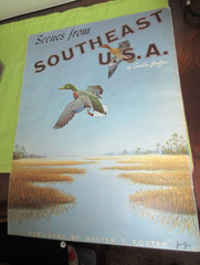 Scenes From Southeast USA 136 Published By Walter Foster 13.5×10 How To Art Book