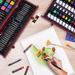 175 Piece Deluxe Art Set with 2 Drawing Pads, Acrylic Paints,Crayons,Colored Pe