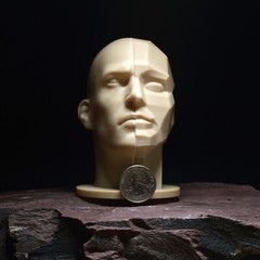 Planar Split Head (Male) – Portrait Drawing Sculpting Aid