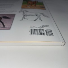 Draw And Paint Realistic Horses 12 Projects Pencil Acrylic Oils Art Scott Book