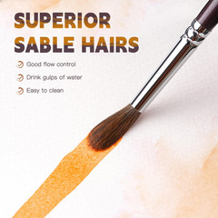 Sable Watercolor Brushes, Professional 10Pcs Sable Paint Brush Set Vari