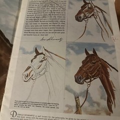 Horses’ Heads in Oils and Pastels Don Schwartz Walter Foster Oversize Vintage PB