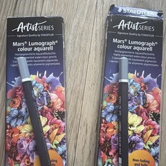 Staedtler Mars Lumograph Colour Aquarell Pencils Artist Grey 12 Pack