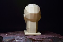 Planar Head, with Male & Female Torso — Art Reference Collection
