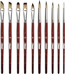 Watercolor Brushes Professional，10 PCS Artist Paint Brush Shapes Including Po…
