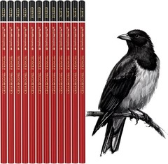 Professional Charcoal Pencils Drawing Set -12 Pieces Soft, Medium Hard Charcoal