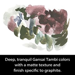 Kuretake GANSAI TAMBI GRAPHITE COLORS, 6 6 Count (Pack of 1), Graphite Colors