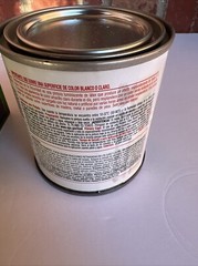 Rust-Oleum 214945 Specialty Glow In The Dark Luminous Latex Paint 7oz NEW