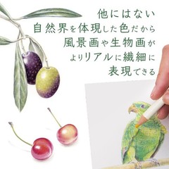 Tombow CI-RTC Color Pencil Set 30 Colors Book Style Third Collection Japan New