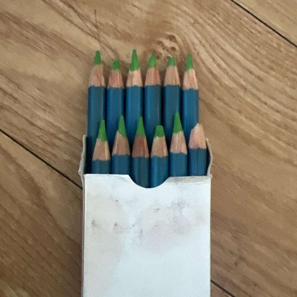 RARE 1 Box of 12 KAC912 Apple Green Berol Karisma Aquarelle Watercolour Pencils