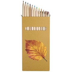 12 x ‘Realistic Autumn Leaf’ Long Colour Pencils (PE00091695)