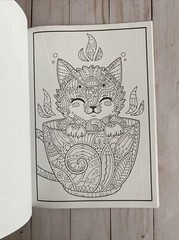 Adult Or Teen Coloring Book Adorable Animals 16 Single Sided Designs + Stickers