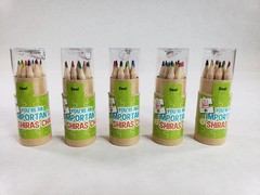 Lot Of 145 Pack 12 Colors Natural Wood Drawing Pencil w/ Sharpener Carton Bottle