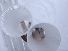 QWORK Expandable Artist Storage Tubes Set of 3 Clear Plastic for Brushes Canvas