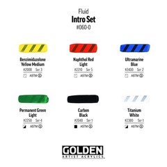 Fluid Acrylics Intro Set 6 Color 1 Fl Oz Bottles Professional Paint Art