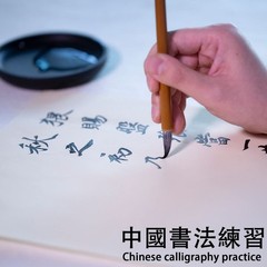 Chinese Blank Xuan Paper Raw, Calligraphy Brush Ink Writing Sumi Rice 30Pcs