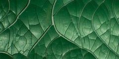 Nuvo Crackle Mousse Chameleon Green