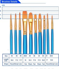 Bosobo 10-Piece Nylon Hair Paint Brush Set for Professional Detail Work, Blue