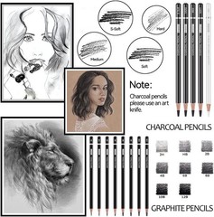 Versatile Art Pencil Set: 22-Piece Graphite & Charcoal Tools for Artists