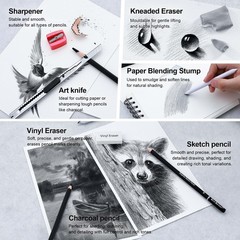 Kird Barken 24PCS Professional Sketch Pencil Set – 5H to 14B Pencils, Charcoa…
