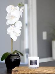 Lulu Candles | Gardenia | Luxury Scented Soy Jar Candle | Hand 9 Oz., Clear