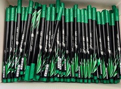 100 BIC Intensity Fineliner Marker Pen, Fine Point 0.4mm GREEN NEW 100 Count