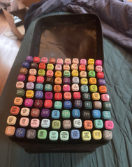 Multicolor Alcohol Markers Set with Zippered Carry Case, Color-Coded Caps