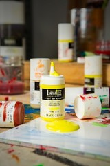 Liquitex Professional Soft Body Acrylic 8.88 Fl Oz (Pack of 1), 12 Colors