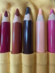Fabriano Made Italy Set 24 chunky coloured pencils linen roll up Excellent Cond