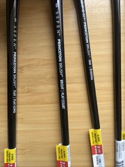 Princeton Aspen Long Handle Oil Paint Brushes – Lot Of 16 / Brand New