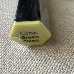 SPECTRUM NOIR – TRI BLEND 3-IN-1 MARKER – CITRUS GREEN BLEND – CG1, CG2, CG3