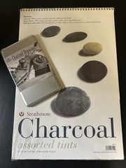 STRATHMORE 500 Series Charcoal Paper Assorted Tints 12 x 18 PLUS Pencils SET