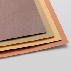 Clairefontaine Pastelgrain Textured Pastel Paper | Artist Drawing Pad 360gsm