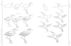 Draw like an Artist: 100 Realistic Animals: Step-By-Step Realistic Line Drawing