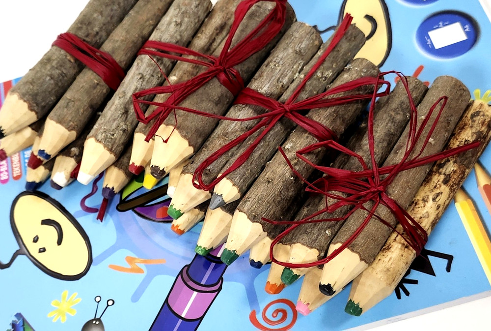 Handmade Natural Wood Branch Crayons – Set of 24 with Drawing Pad – Chunky Wood