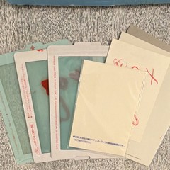 Vintage RISO Print Gocco B6 Hi Mesh Set Instant Multi-Color Kit, EUC, +Flashbulb