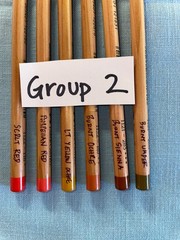 Faber-Castell Pitt Pastel Pencils ~ Lot of 21 ~ Plus Global Art Materials Case