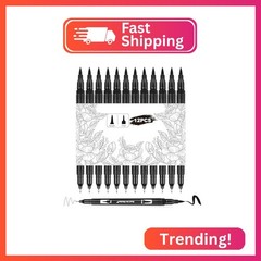 Qianyu 12 Pack Drawing Pens Black Felt Tip Markers Dual Brush Fineliners Pens Fi