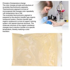 10g Heat Sensitive Color Changing Pigment Powder For DIY Art Trending CHU