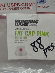 (88 Pcs.) Montana Spray Caps..WHITE/ PINK..FAT WIDTH ..NEW..88 PIECE LOT!