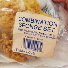 Royal Artist 4 REAL Sea Sponges Natural Ocean Sponge Med Silk & Wool & Yellow