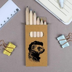 6 x ‘Dapper Ferret in Flat Cap’ Short Colour Pencils (PE00092022)