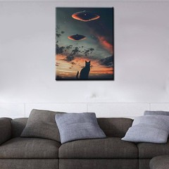 UFO Paint by Bumbers for Adults Beginner Black Cat DIY Paint by Numbers Acrylic