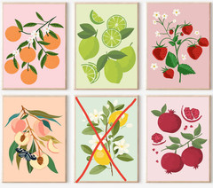 5-Pack Paint by Number for Adults & Kids – DIY Fruit Acrylic Painting Kits BN