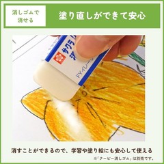 Sakura Crepas Coupy colored pencils 12 colors in paper box PFY12K