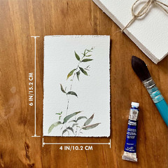 Deckle Edge Watercolor Paper 100% Cotton 140 LB 300 GSM 4×6” 30 Sheets M…