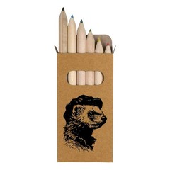 6 x ‘Dapper Ferret in Flat Cap’ Short Colour Pencils (PE00092022)